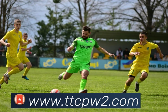 天天彩票官方网站服务体系